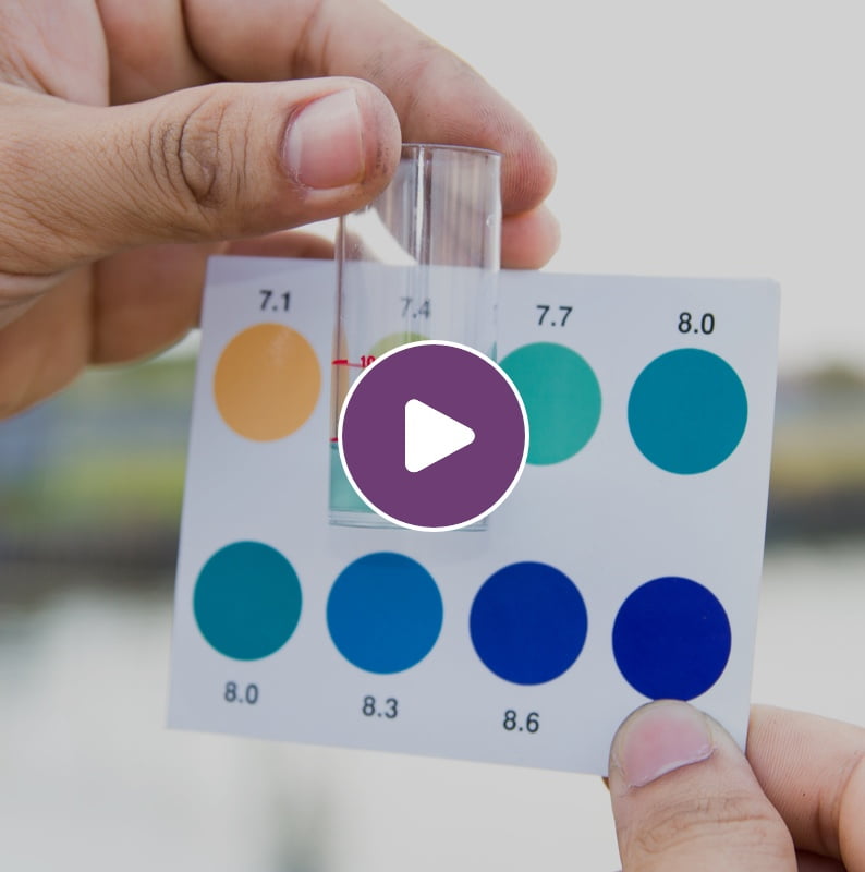 Video Placeholder Orp Performance