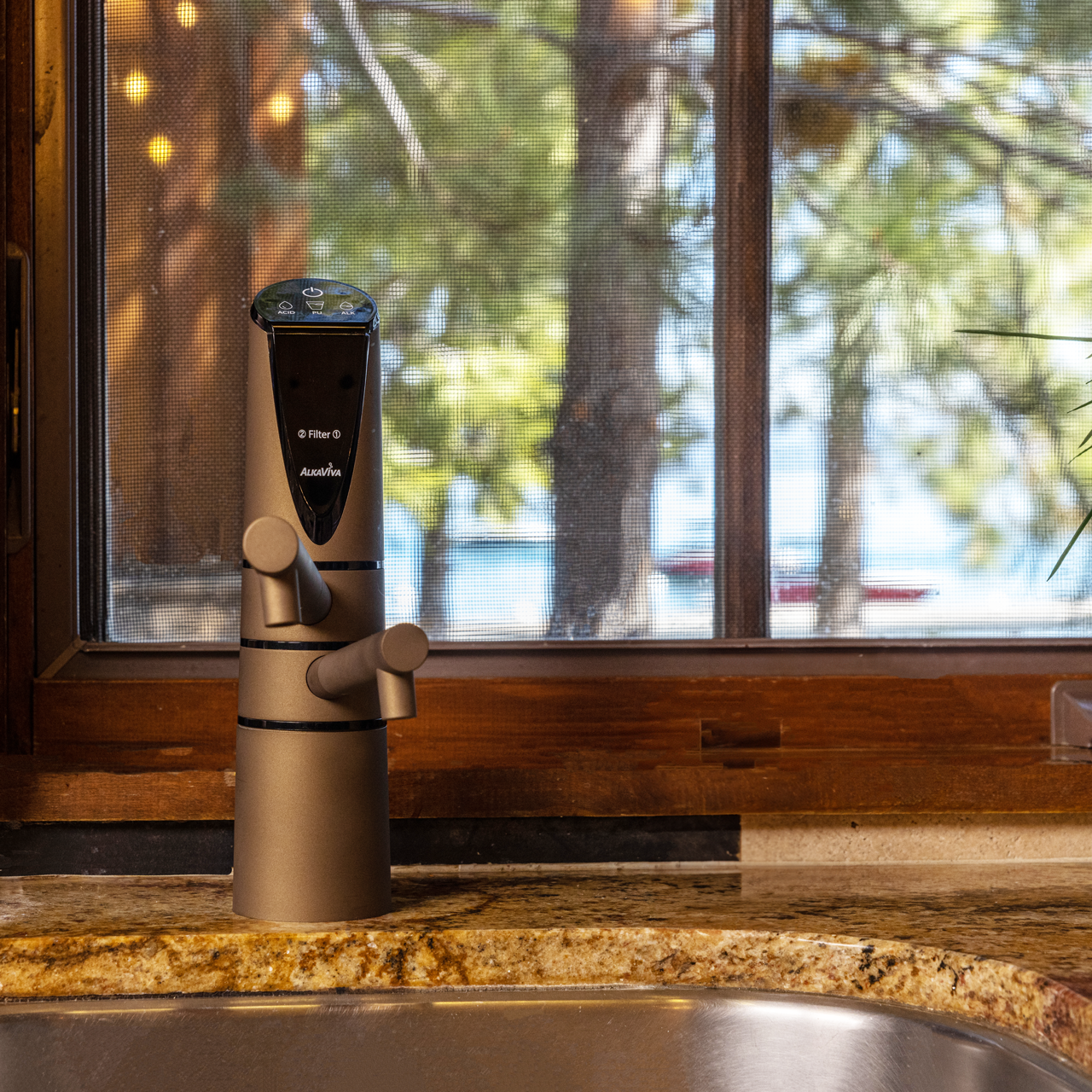 Delphi H2 Undersink Water Ionizer (Custom)